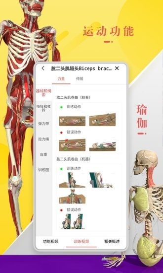 3Dbody艺用截图1