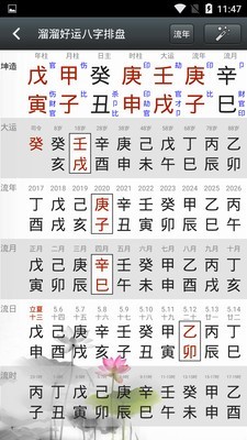 溜溜好运八字排盘截图4