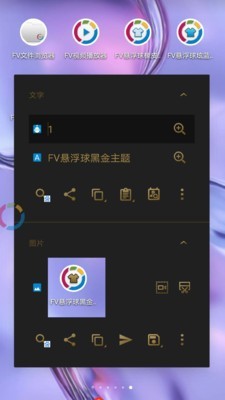 FV悬浮球黑金主题截图3