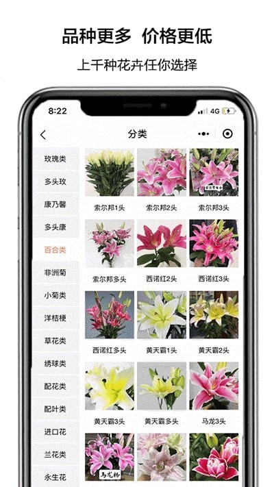 花比三家截图3