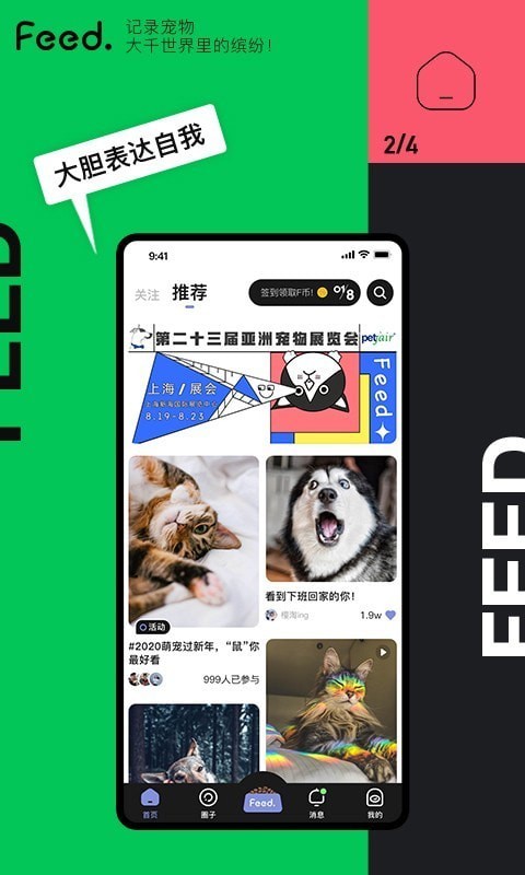 Feed截图2