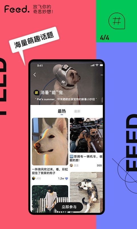 Feed截图4