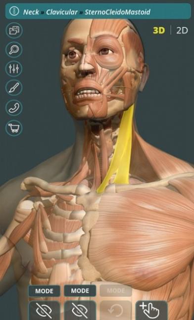 人体3D立体解剖截图1