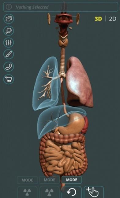 人体3D立体解剖截图2