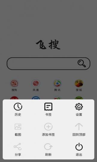 飞搜浏览器截图2