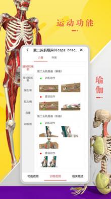 3Dbody解剖截图1