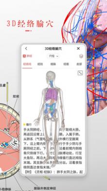 3Dbody解剖截图2