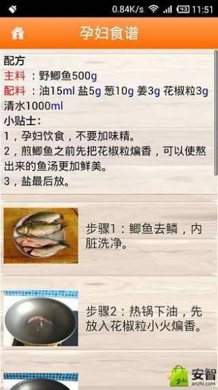 孕妇食谱大全截图2