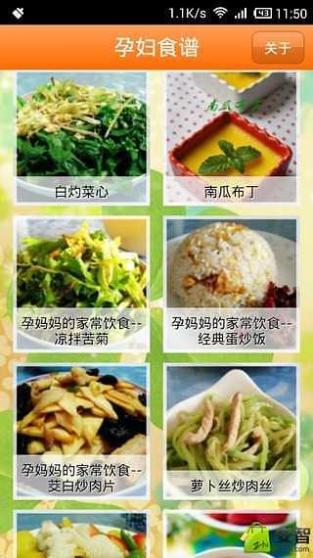 孕妇食谱大全截图5