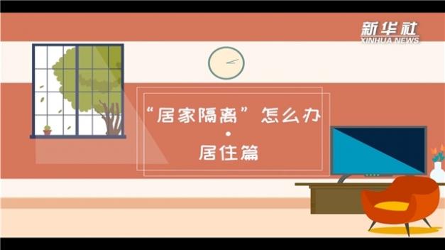 2020中小学德育学堂手机版截图1