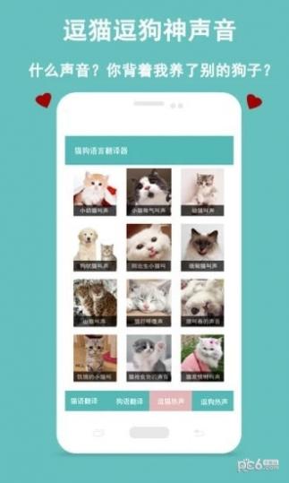 猫狗语言交流器中文版截图2