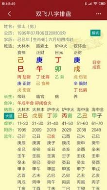 双飞八字排盘截图2