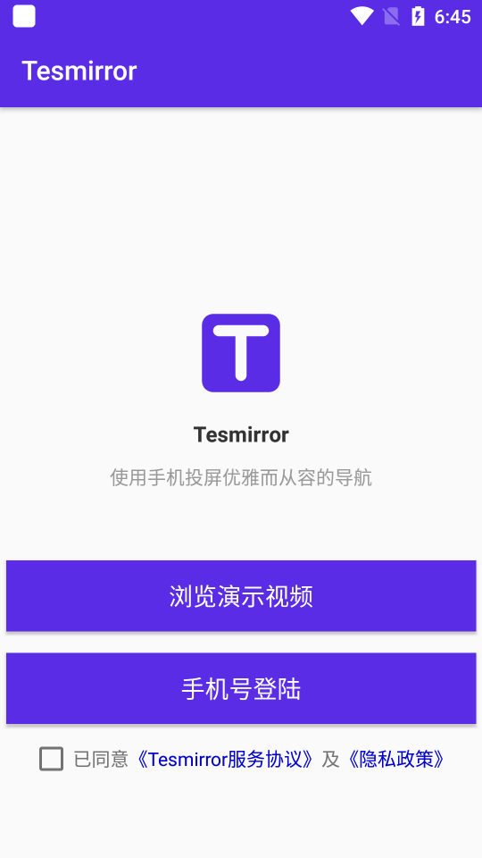 Tesmirror截图1