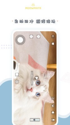 MeowMate截图2