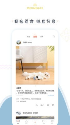 MeowMate截图3